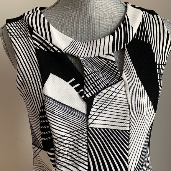 🌈 3/$20 En Focus black and white abstract sleeveless cocktail dress - Picture 3 of 8